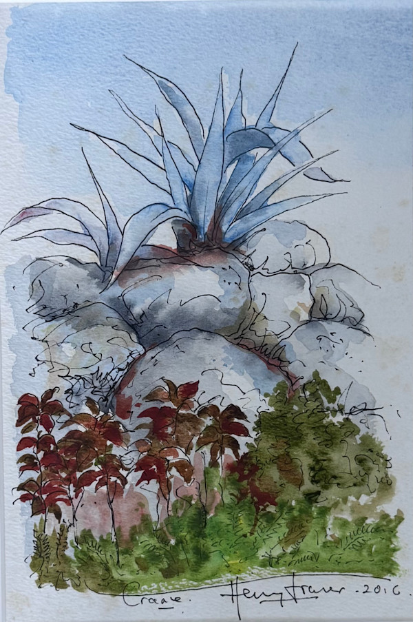 Rock Garden by Henry Fraser, Image 1.