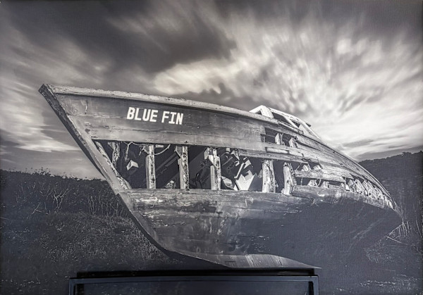 Blue Fin by Hugh Walker