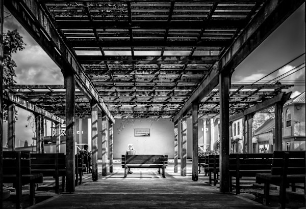 The Tree with the Silver Light Print 5/30 by Hugh Walker