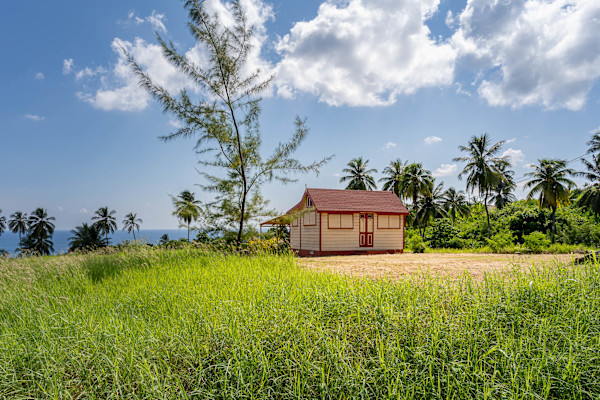 The House in St. John #1 by Hugh Walker