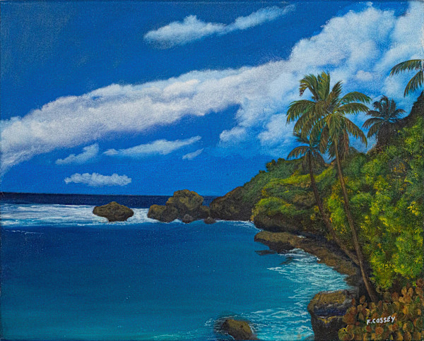 Bath Cove by Frank Cossey, Image 2.