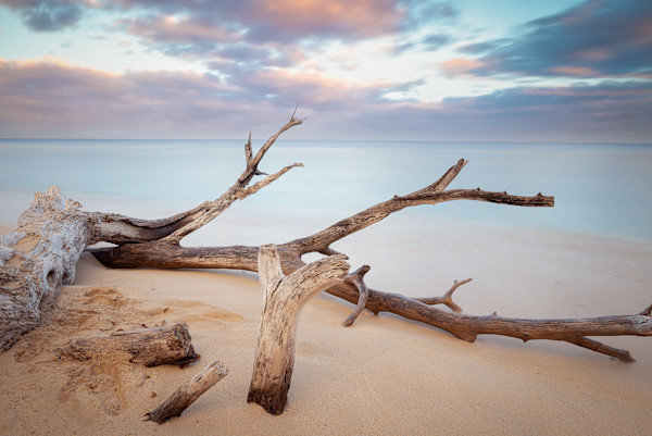 In My Dreams #1 by Hugh Walker