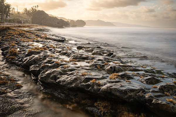 Mist in the Evening #1 by Hugh Walker