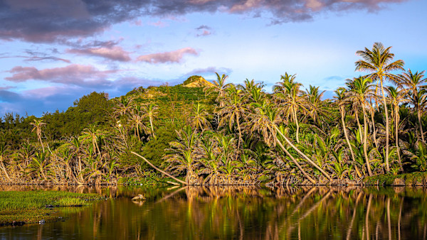 Taste of the Morning #1 by Hugh Walker