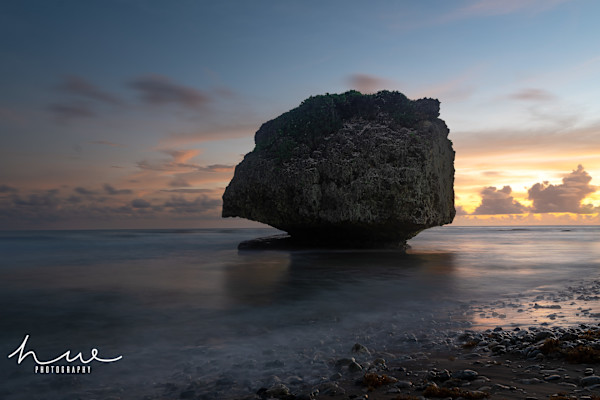 The Boss (Signed Limited Edition Print) 2/30 by Hugh Walker