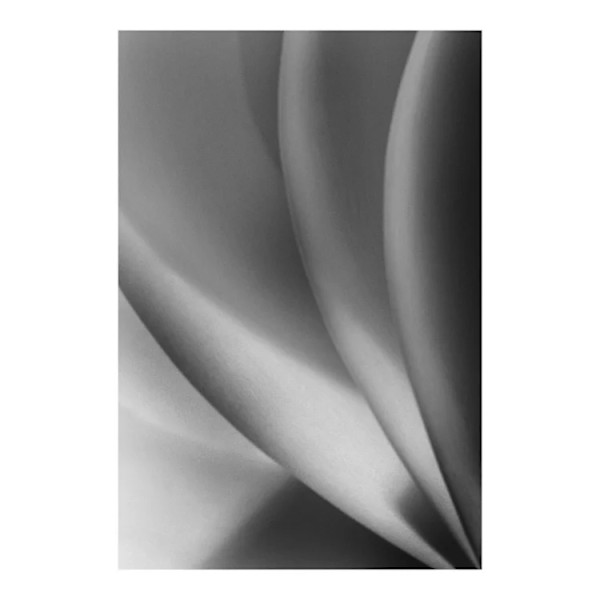 White Series #1 by Hugh Walker, Image 1.
