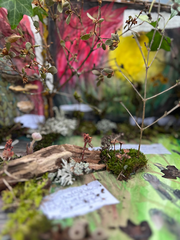 My Forest by Kelly Peressini, Image 1.