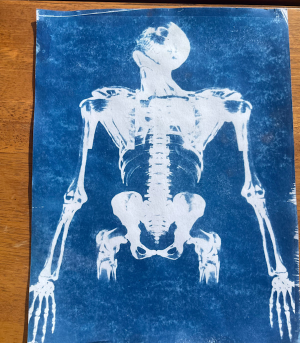 Behind Connective Tissue by Abby Kilishek, Image 1.