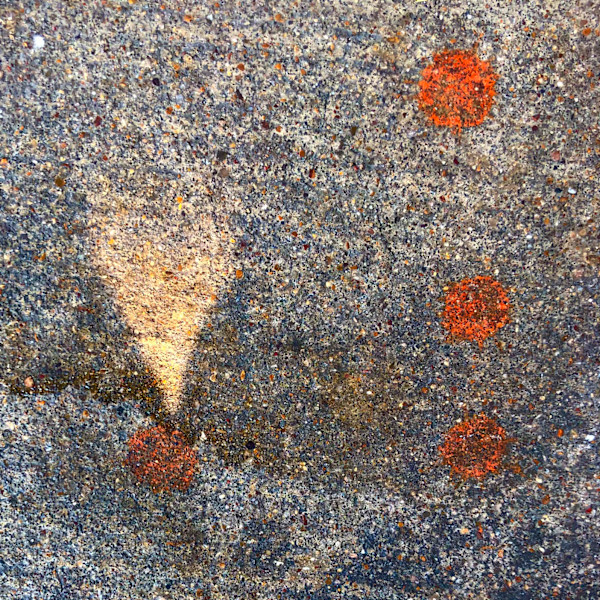 Four Orange Circles by John Derryberry Photography, Image 1.