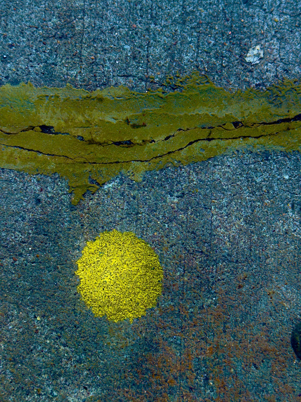 Line And Yellow Circle by John Derryberry Photography, Image 1.