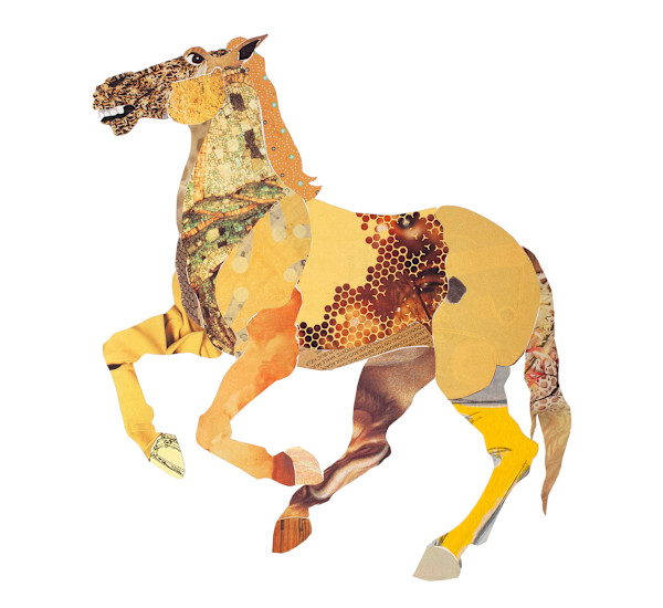 Yellow Horse by renée  alyson