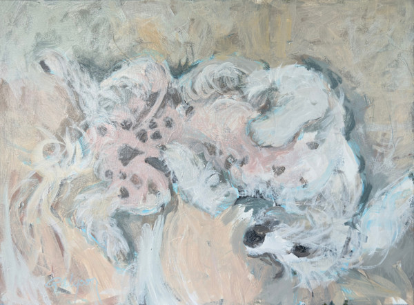 Opie Dreaming by renée  alyson, Image 1.