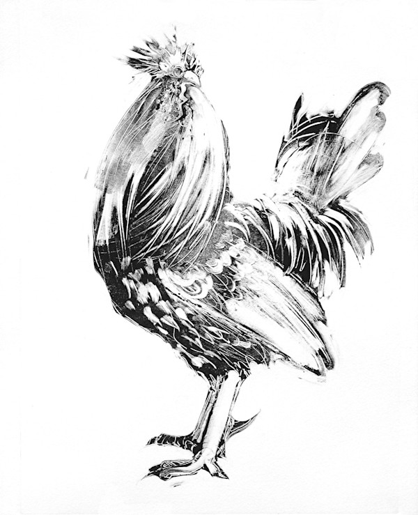 Rooster by renée  alyson, Image 1.