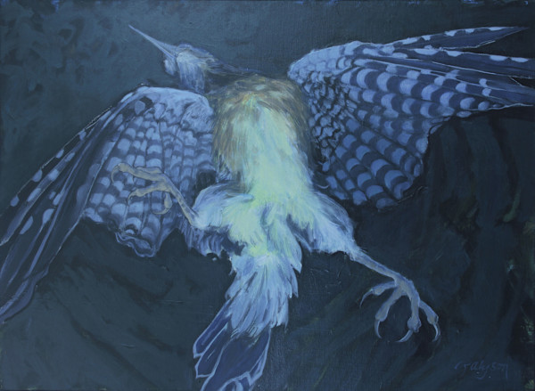 Falling Jay by renée  alyson, Image 1.