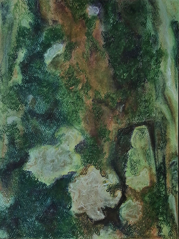 Moss by Mina Todorović, Image 1.