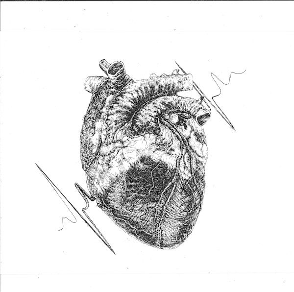 The Heartbeat by Julia Trajlinková, Image 1.