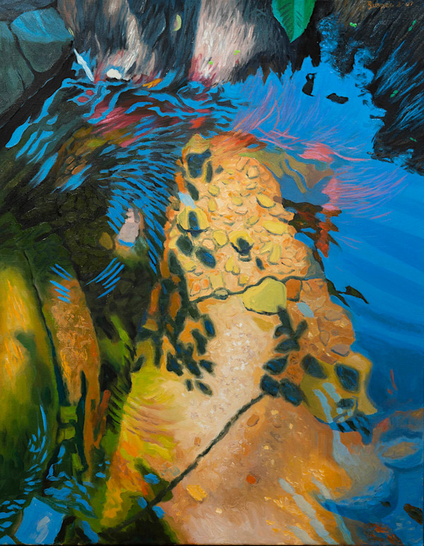 Shallow Creekbed Looking Down at my Feet by James Burpee, Image 1.