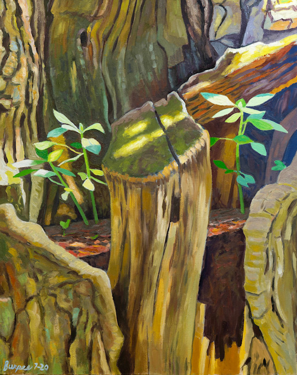 Tree Stump by James Burpee, Image 1.