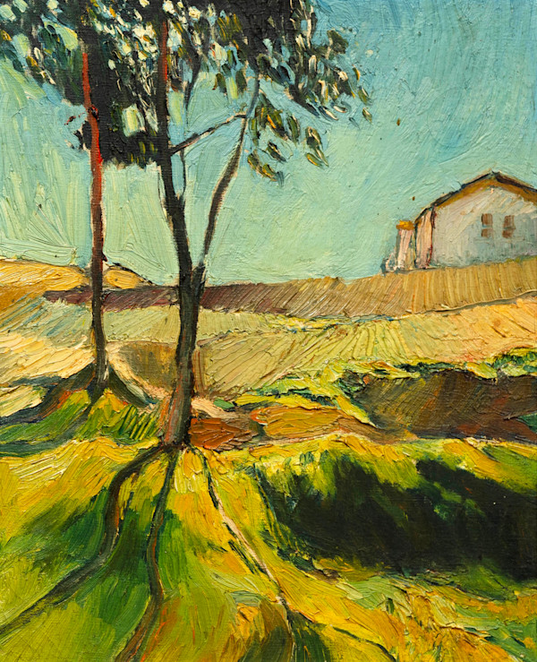 Tree and Building in Distance by James Burpee