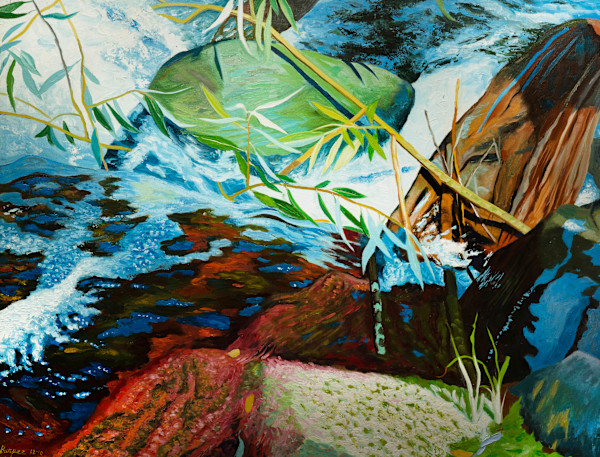 Willow Branch Across Creek by James Burpee, Image 1.
