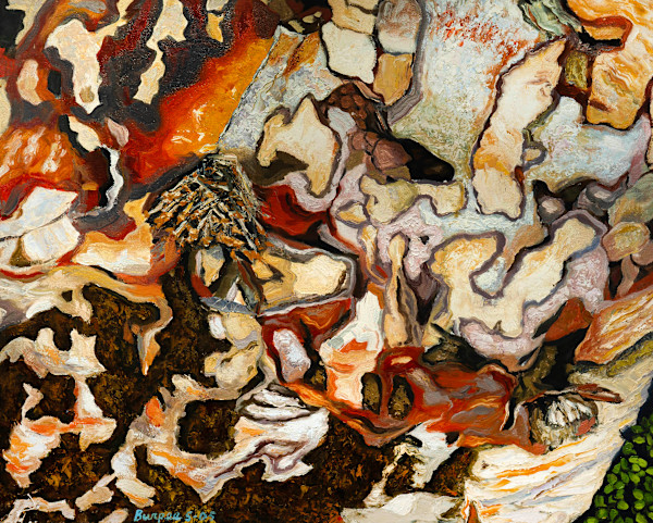 Winter Rock in Sunlight by James Burpee, Image 1.