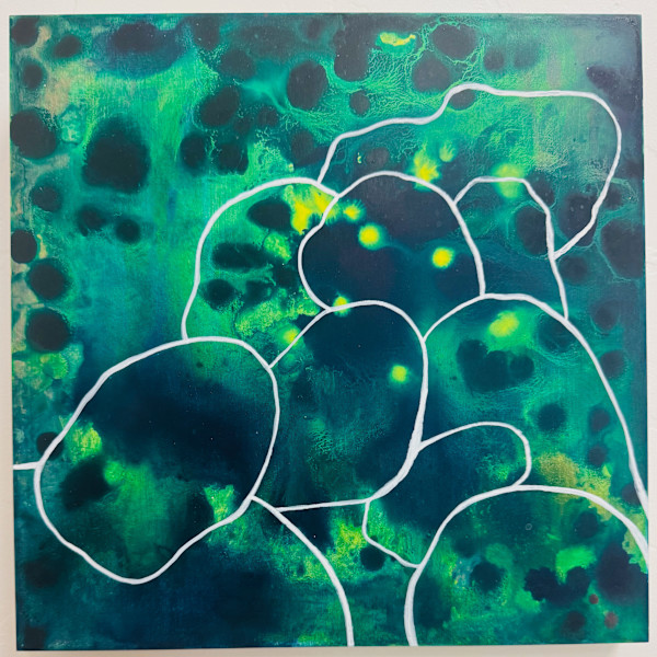 Night Rocks by Nolina Burge, Image 1.