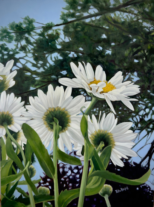 Did you see that Daisy? by Ritu Bajaj, Image 1.