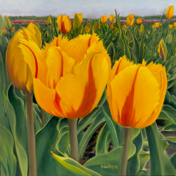 Tulip radiance by Ritu Bajaj, Image 1.