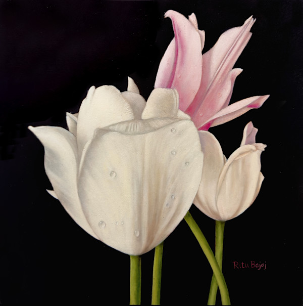 TulipsTrio by Ritu Bajaj, Image 5.