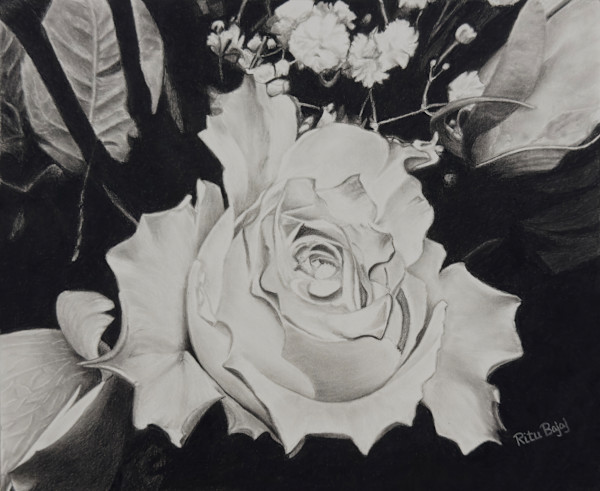 White Rose by Ritu Bajaj, Image 1.