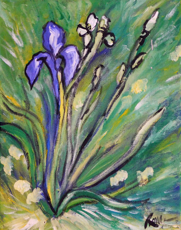 Iris Study 1 by Ronda Richley