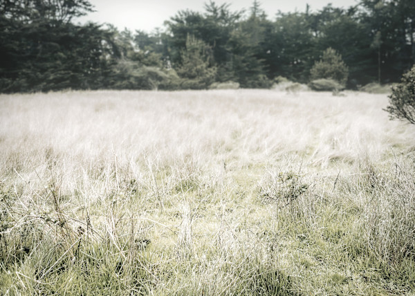 The Bells by Jenny Helbraun Abramson, Image 1.