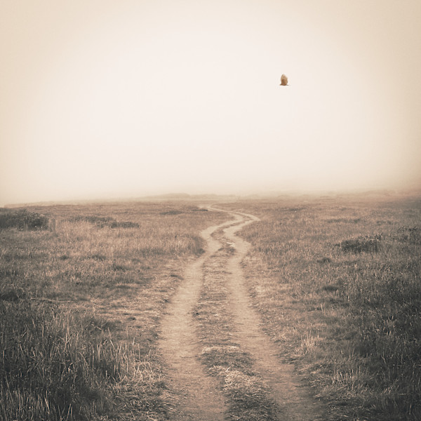 Selections from Emergence by Jenny Helbraun Abramson, Image 1.