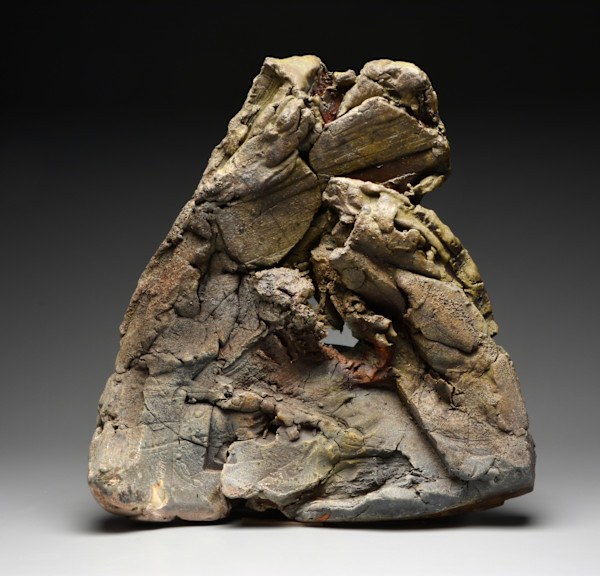 SP010 by Peter Callas, Image 1.