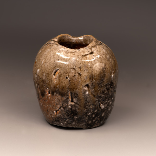 V145 by Peter Callas, Image 1.