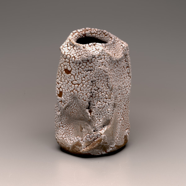 V110 by Peter Callas, Image 1.