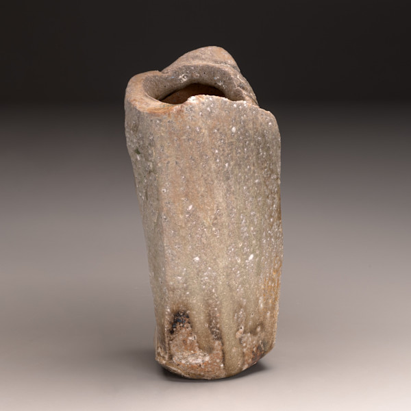 V120 by Peter Callas, Image 1.