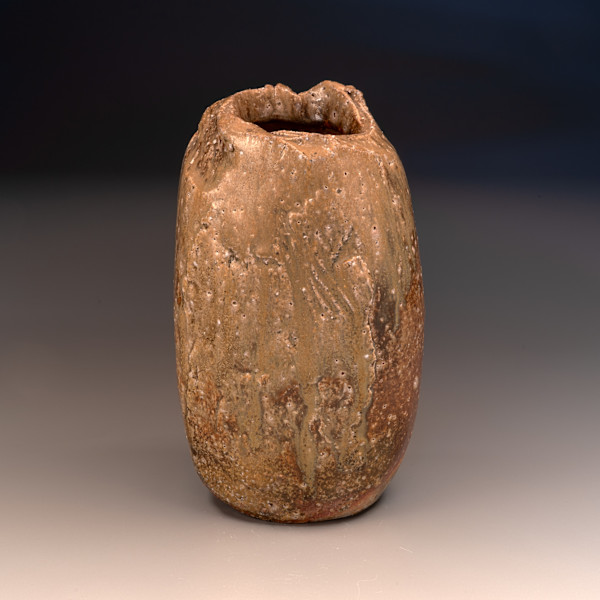 V141 by Peter Callas, Image 1.
