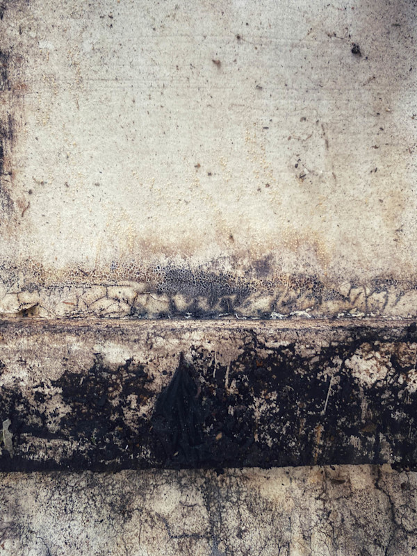 Homesteading in Purgatory by Brian Hallas, Image 2.