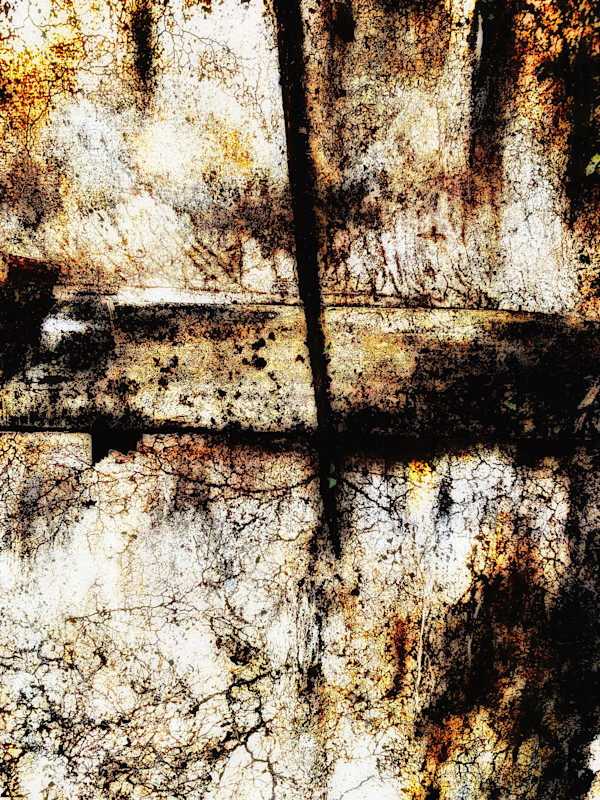 Underbrush by Brian Hallas, Image 2.