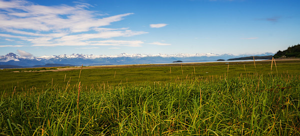 Mountain Meadow by Christy Crimmins Garcia, Image 1.