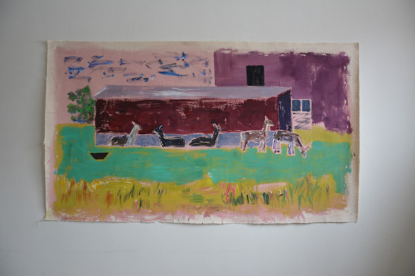 Llamas (Mashomack) by Barbara Ballachey, Image 5.