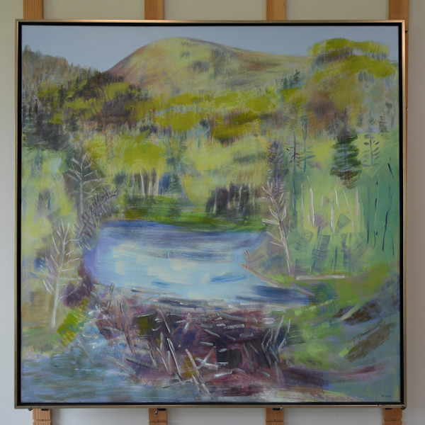 Beaver Dam View by Barbara Ballachey, Image 10.