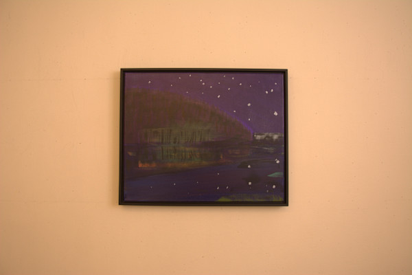 Night Light by Barbara Ballachey, Image 11.