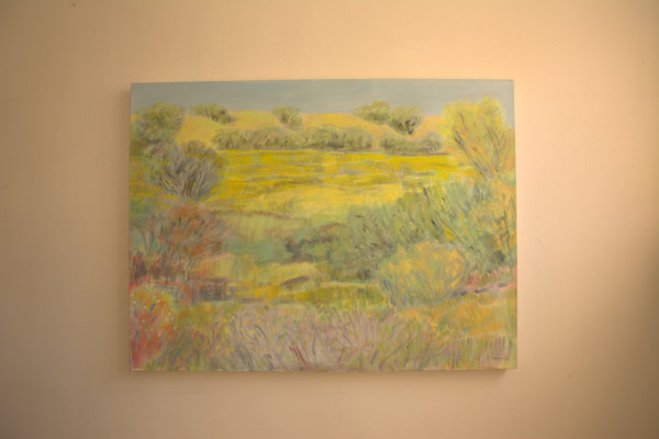 Meadow (Saskatchewan) by Barbara Ballachey, Image 6.