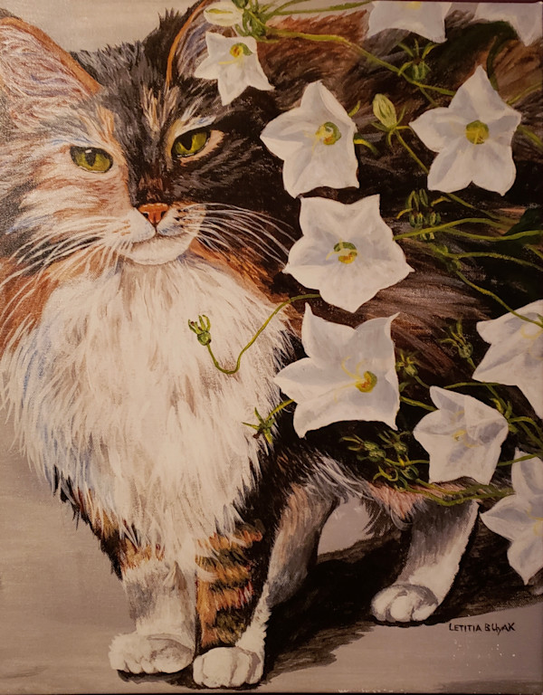 Cali by Letitia Uyak, Image 5.