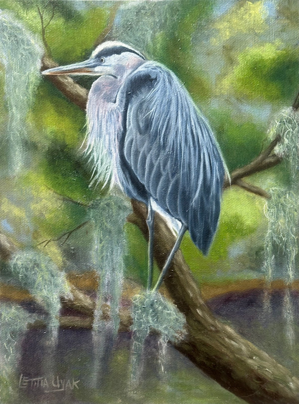 Great Blue Heron by Letitia Uyak, Image 12.