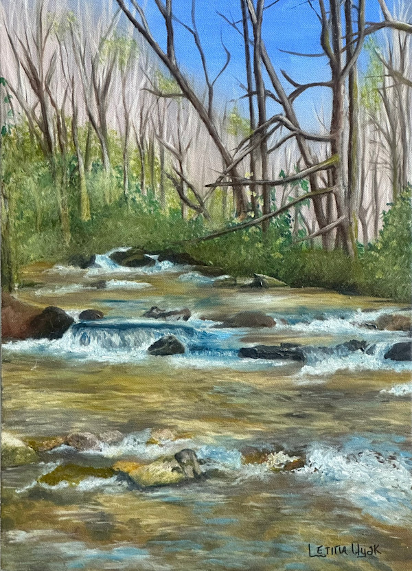 Upstate Stream by Letitia Uyak, Image 1.