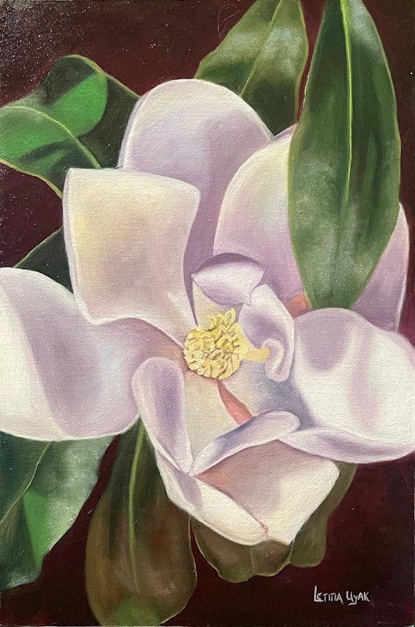 Cheekwood Magnolia by Letitia Uyak, Image 1.