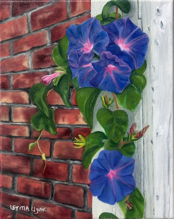 Morning Glories by Letitia Uyak, Image 1.